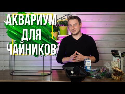 Аквариум Для Новичка ✔️ Что нужно купить Для Рыб  ✔️ Советы От Garden-zoo