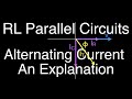 Understanding RL Parallel Circuits