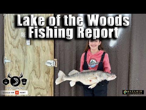 Lake of the Woods Fishing Report 