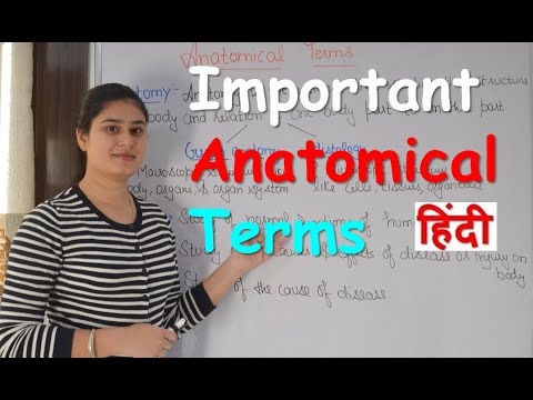 Important Anatomical Terms in Hindi | Common Anatomical Terms | Anatomical Terms for Beginners