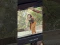 Prem Leela BTS||#trending #funny #entertainment #ytshorts #shorts #youtubeshorts #bts#tv#reels#tv