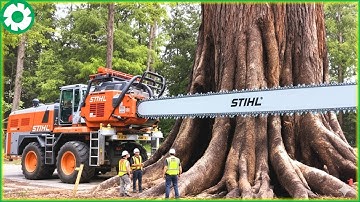Extreme Dangerous Fastest Big Chainsaw Cutting Tree Machines | Heavy Machinery