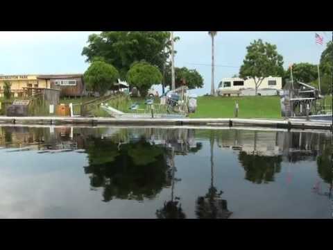 martin-air-boat-rides-huge-alligators-sawgrass-recreation-park,-fort-lauderdale,florida