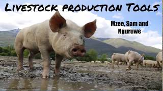 1Room Kenya KCSE Agriculture Form 1 Lesson 13: Livestock Production: Tools and Equipment