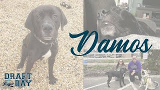 Damos Gets a Second Chance | Draft Day 2022