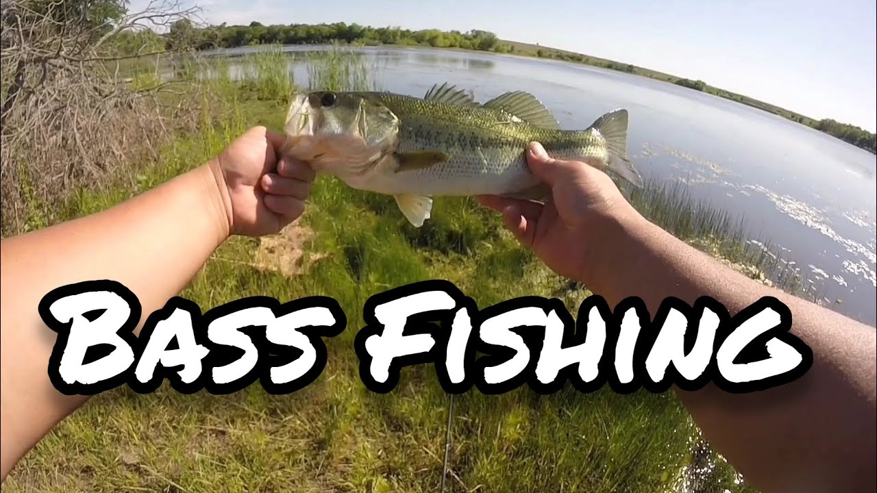 Bass Fishing