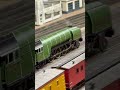 Quite The Colorful Assortment Of Wagons
