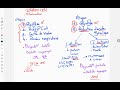 La consommation de la matière organique et le flux d'énergie | Introducion -2
