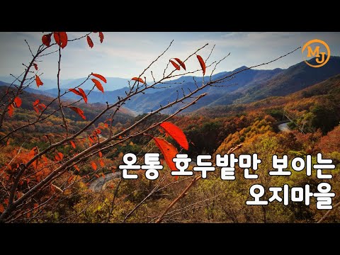 상촌면 궁촌리