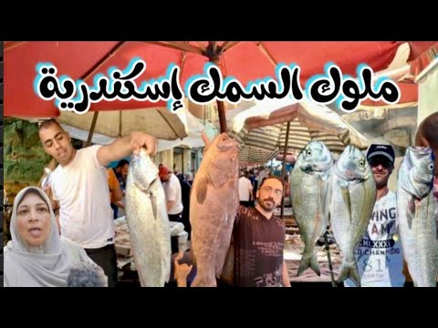 إسكندرية ملوك السمك سوق ابوقير وارقام التوصيل سوق و مزادات