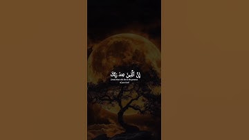 اكتب شيء تؤجر عليه 😴🤍 القارئ ياسر الدوسري