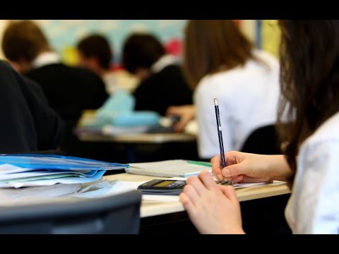 რეალური სივრცე - რას შეცვლის განათლების სისტემაში ახალი რეფორმა?