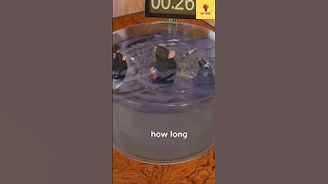 Mouse Drowning Experiment | Forced Swim Test Explained | Animal Research & Ethics