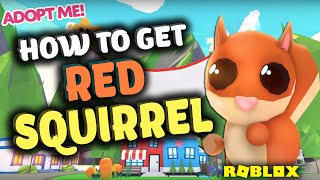 ADOPT ME TOY SHOP UPDATE! HOW TO GET RED SQUIRREL PET FROM TOY STORE 2021