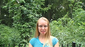 Millionaire Bootcamp