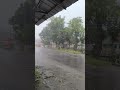 Rainy Day Vibes 🌧️ | Comforting Sounds for Deep Sleep #rain #rainsounds #shorts