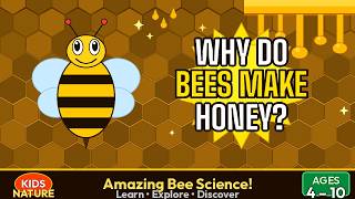 Why Do Bees Make Honey? | Amazing Bee Facts for Kids