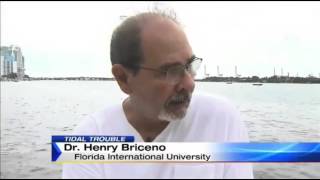 Fort Lauderdale Sun Sentinel Report Misquotes scientist