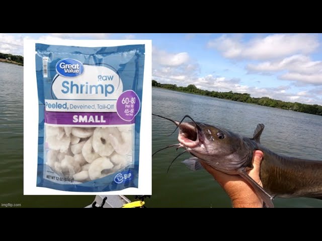 Store-bought Shrimp as Catfish Bait: What You Need To Know 