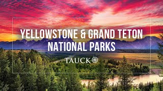 Tauck | Yellowstone & Grand Teton National Parks