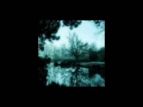 toska - molchat