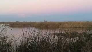 Sacramento National Wildlife Refuge Complex