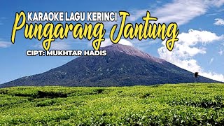 Lagu Kerinci Karaoke Pungarang Jantung ( Karaoke / Lirik ) || Adi Suanto Cipt: Mukhtar Hadis