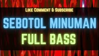 Sebotol Minuman DJ Remix | Disco Vibes for Party Nights 🎶