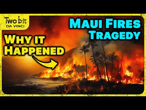Βίντεο: Τι είδους κλίμα είναι η Χαβάη;