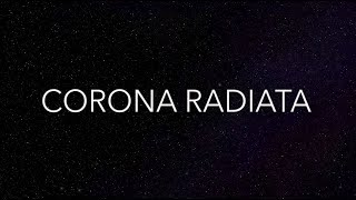 CORONA RADIATA - Elite: Dangerous - Generation Ships Reboot