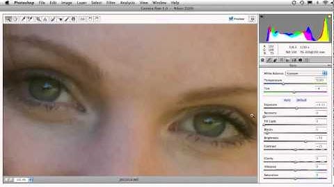 24. Camera Raw Adjustment Brush, Part 2.mov