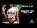 Pitbull and Lil Jon - Damn I Love Miami [2025] (Clean)