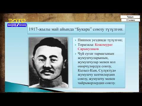 Video: Үч аюу? Отуз! Марсель Ван Остендин буту менен тартылган сүрөттөрү