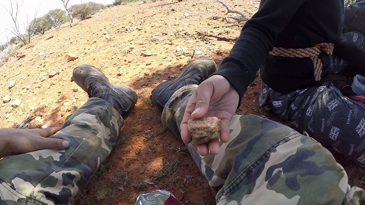 Twapsters 1 OZ Gold Sunbaker Specimen find Leonora WA 2016