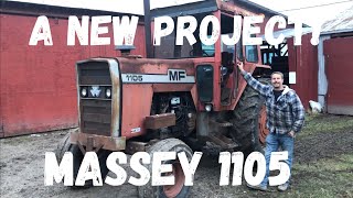 A new project!  Abandoned Massey Ferguson 1105