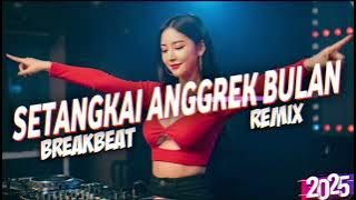 SETANGKAI ANGGREK BULAN - BREAKBEAT REMIX VERSION 2025