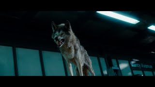 The Sorcerers Apprentice - Dave Meets Horvath Hd