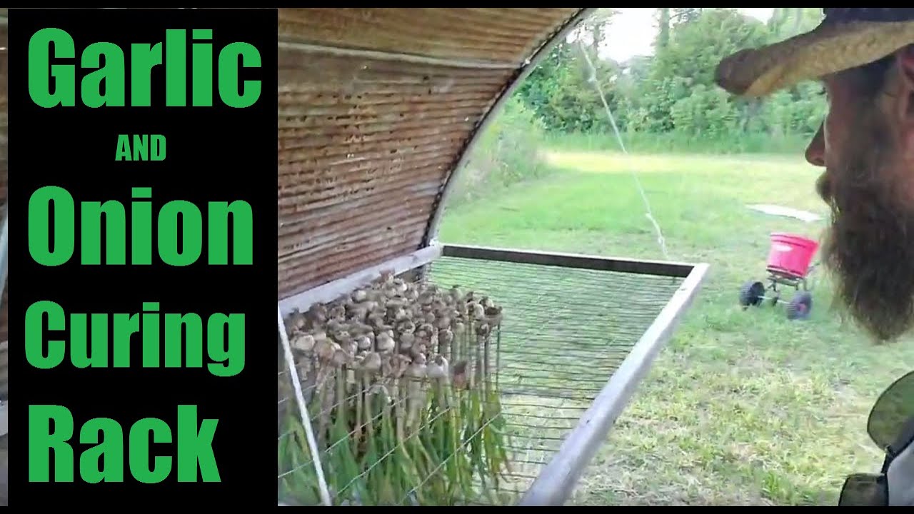 Garlic and Onion Curing Rack - YouTube
