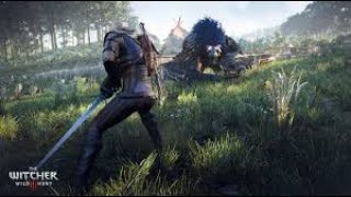 Прохождение The Witcher 3. Квест (Мышиная башня)