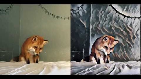 Fast Style Transfer in TensorFlow: Video Demo