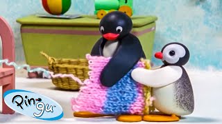 Pingu's New Crafts 🐧 | Pingu - Official Channel | Cartoons For Kids