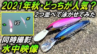 ルアー水中比較【セットアッパー VSロックディープ】シーバス・青物 ハイシーズン 人気ルアーを同時に泳がせてみた！ DAIWA SETUPPER125S-DR SHIMANO ROCKDEEP120S