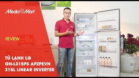 Tủ lạnh LG GN L315PS APZPEVN 315L Linear Inverter
