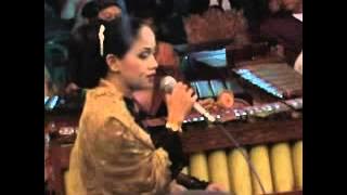 Cungkring nguji  jasa part 1