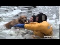 Dog rescued from icy waters in Massachusetts