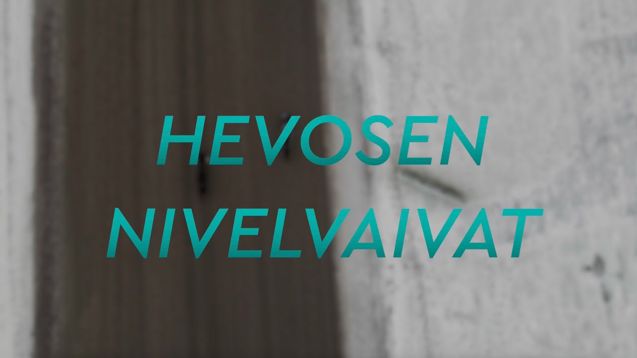 Hevosen nivelvaivat Oireet, hoito ja ennaltaehkäisy YouTube