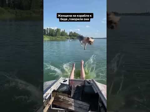 🔥Женщина на коробке к беде🔥 #блатоввинодел #blatowvinodel #юмор #прикол #рекомендации