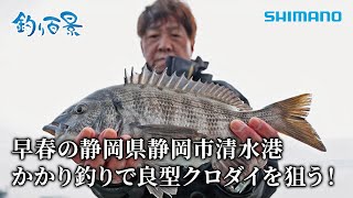 【釣り百景】#585 早春の静岡県静岡市清水港 かかり釣りで良型クロダイを狙う！