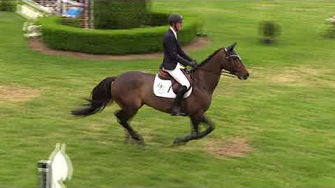 Video of QUEEN JANE ridden by TJ O'MARA from ShowN...