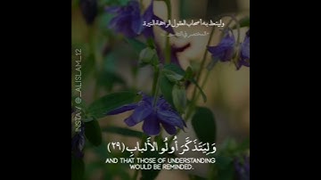 أجمل حالات واتس اب قرآن كريم بصوت جميل جدا| صوته يريح القلب | Quran status💜" للقارئ اسلام صبحي 💚